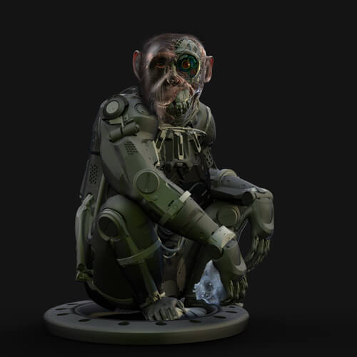 Animations Collection